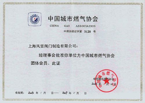 中国城市燃气协会会员证书